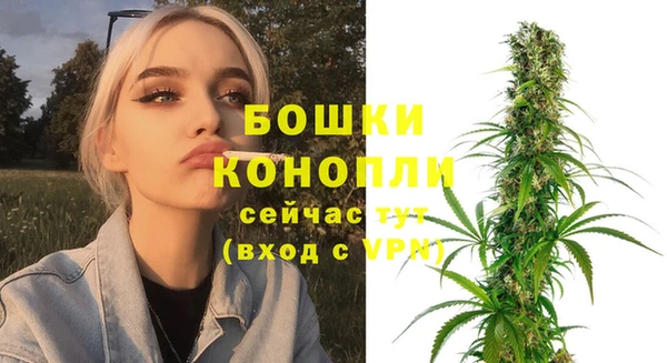 PSILOCYBIN Абдулино