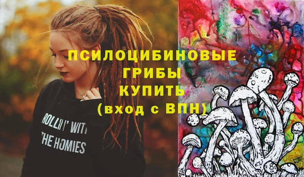прущая мука Абаза