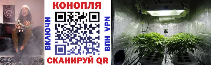 Бошки Шишки гибрид  Красково 
